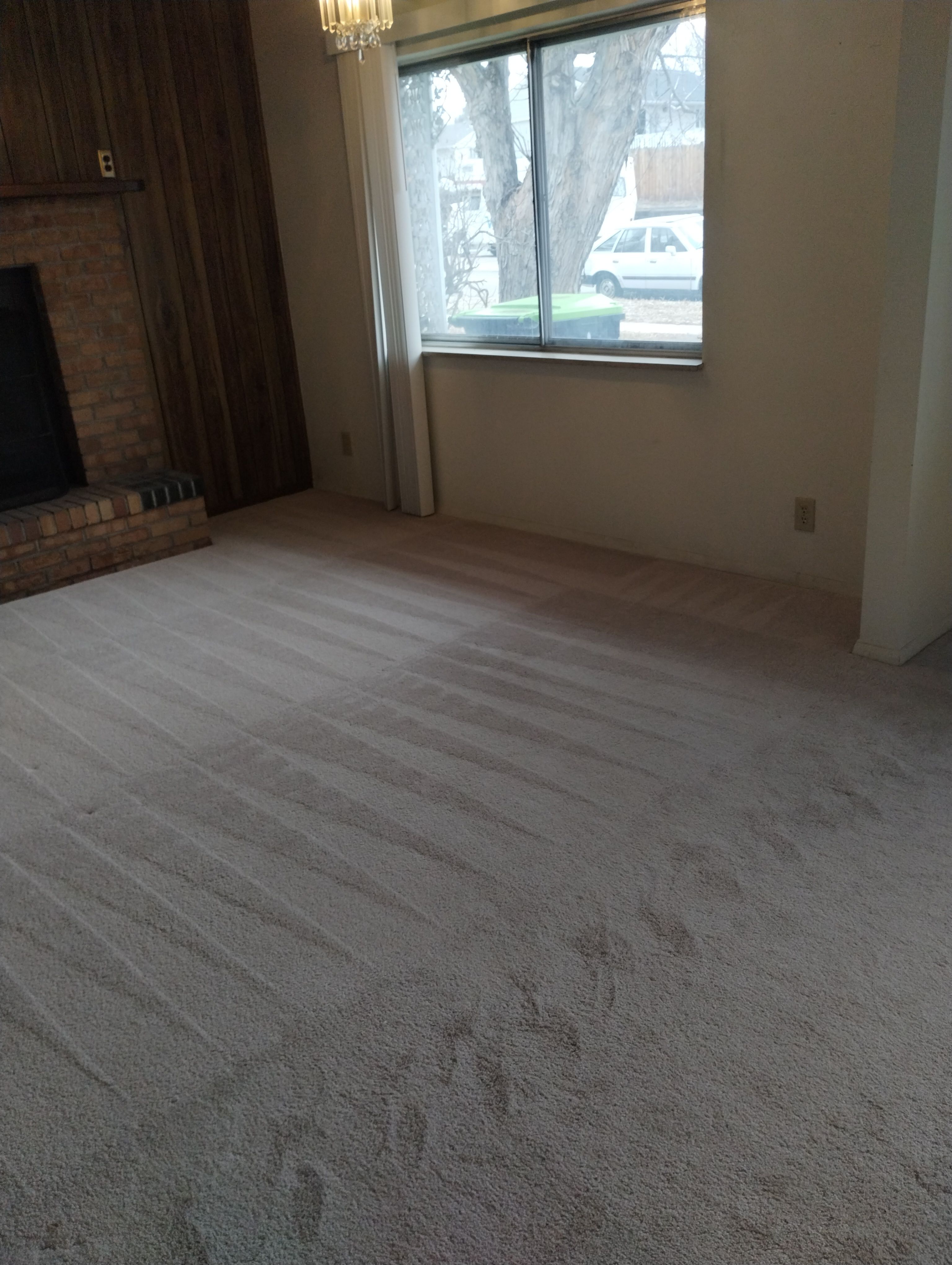 After cleaning customer's living room carpet