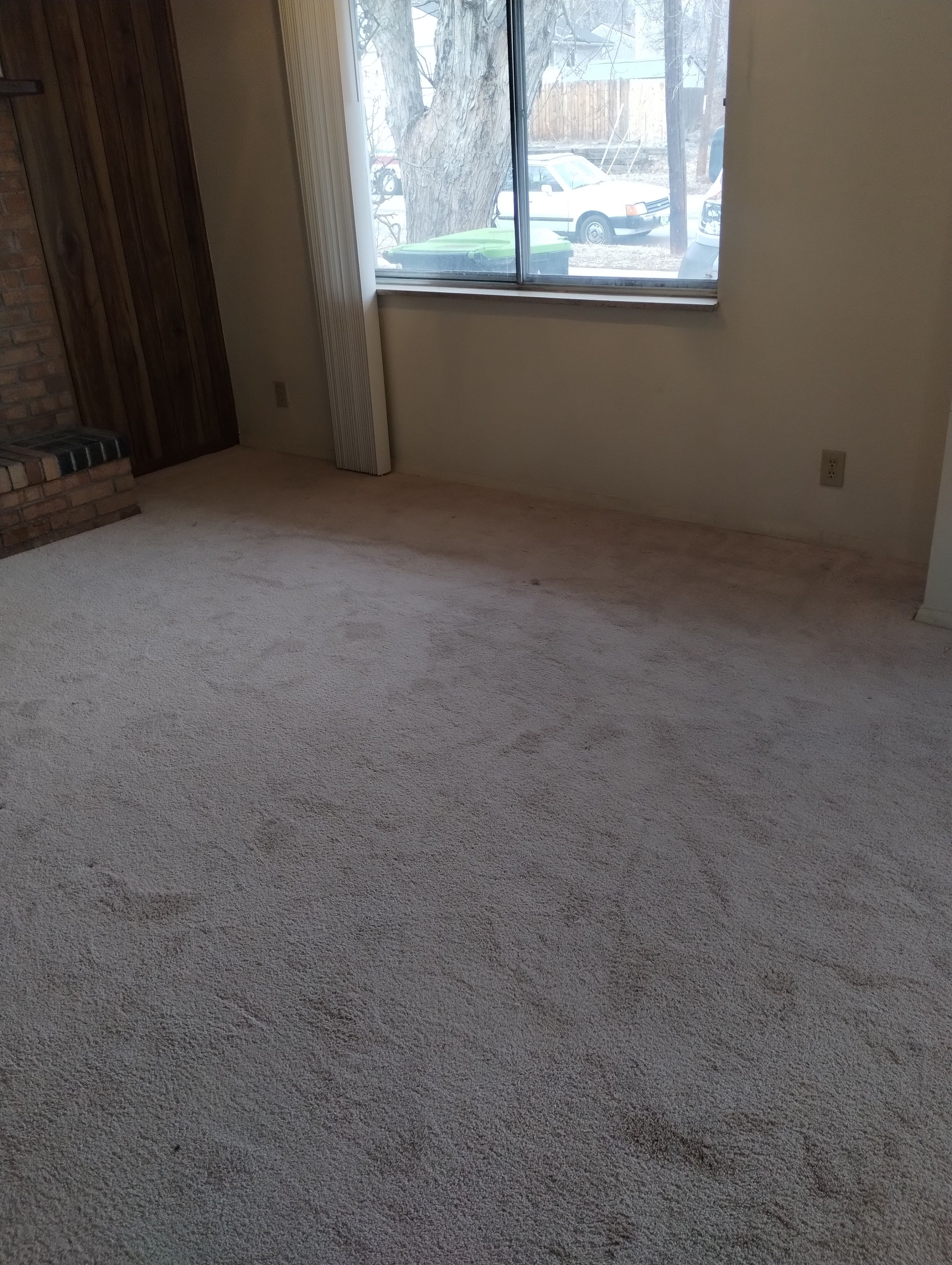 Before cleaning customer's living room carpet