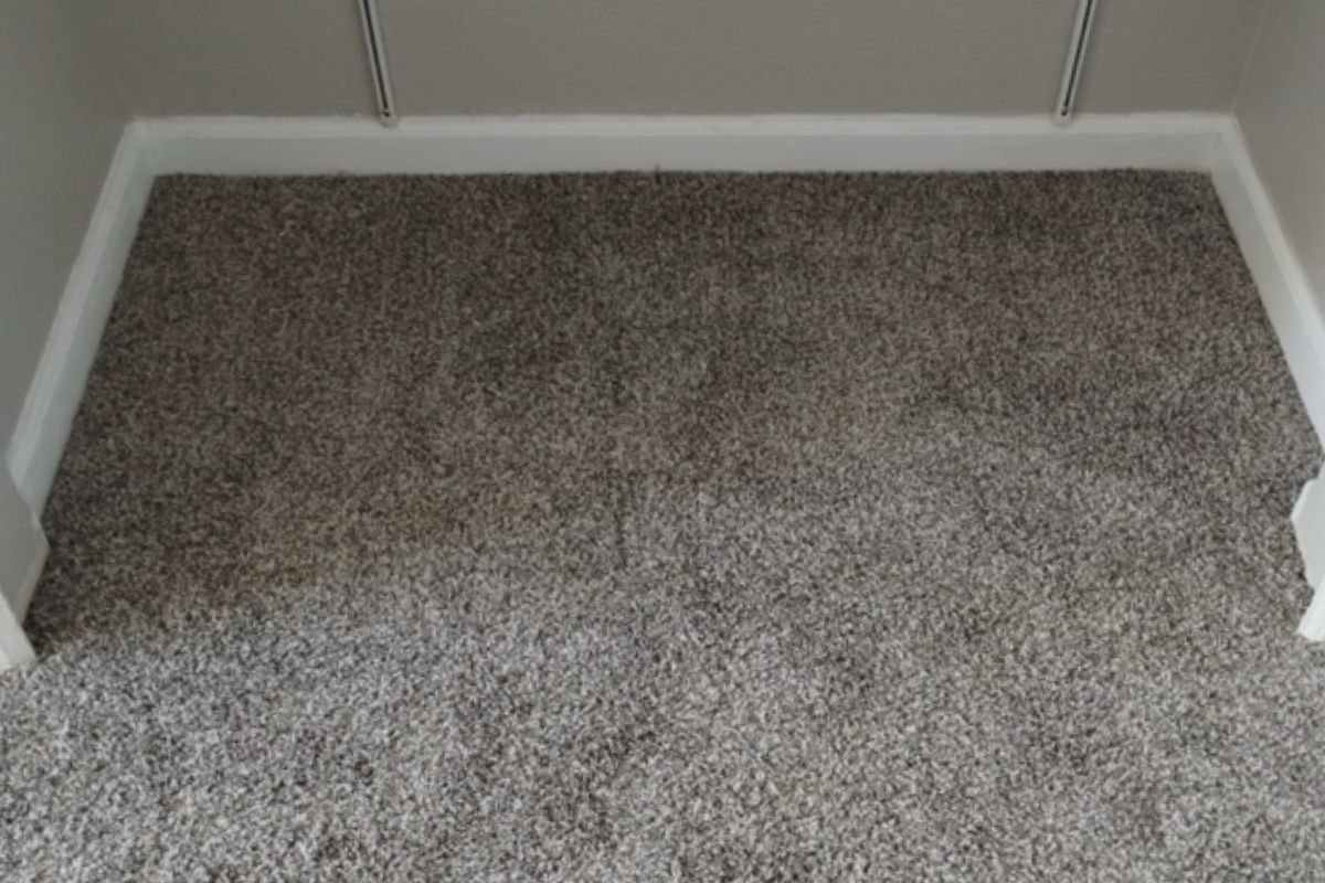 Pet carpet damage repair — after