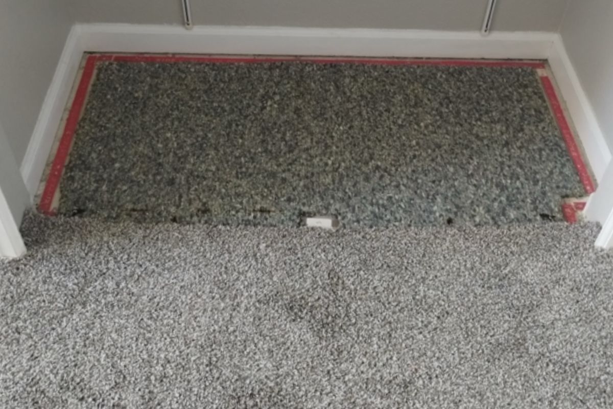 Pet carpet damage repair — before