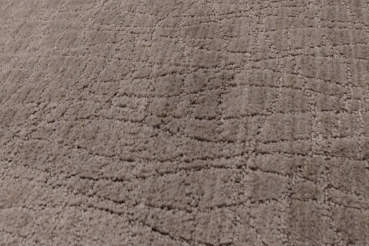 Pet carpet damage repair — after