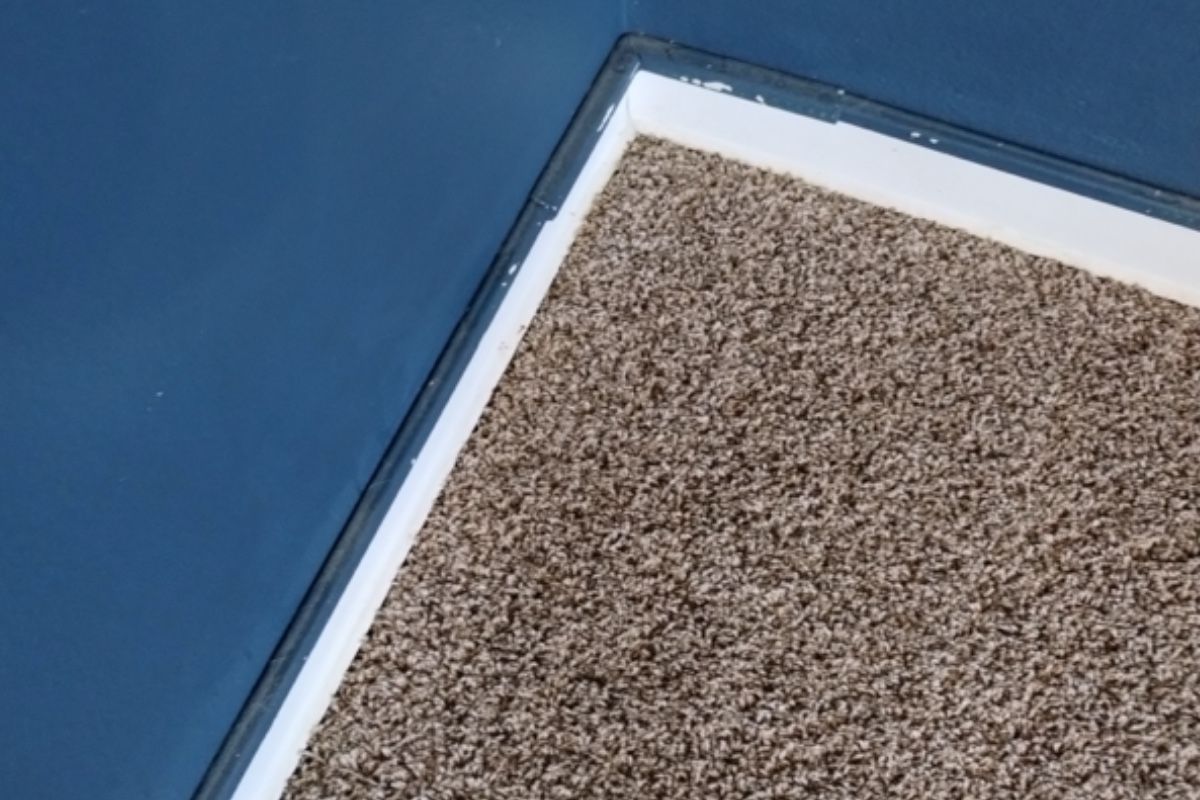 Pet carpet damage repair — after