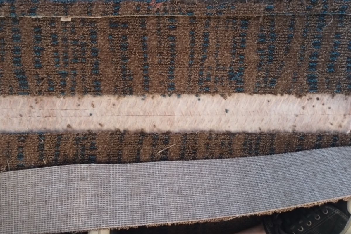 Pet carpet damage repair — before