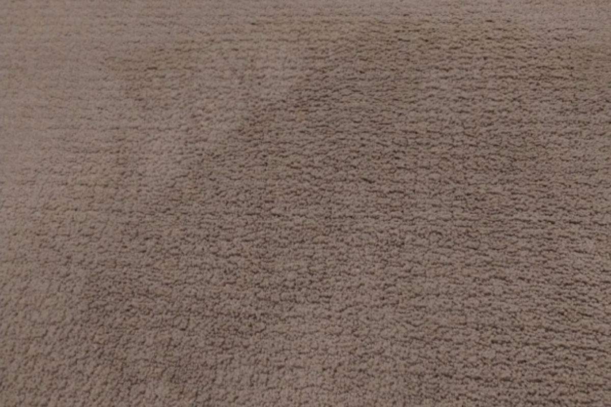 Pet carpet damage repair — after