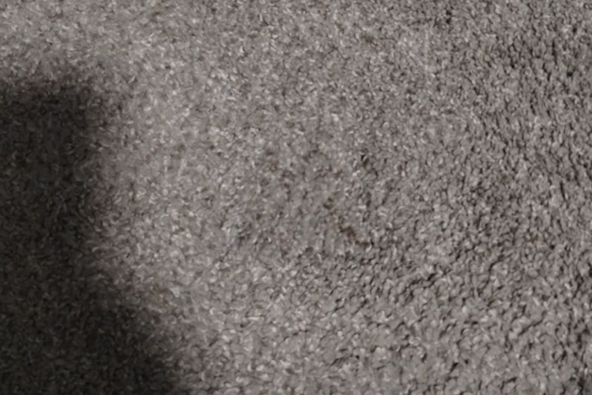 Pet carpet damage repair — after