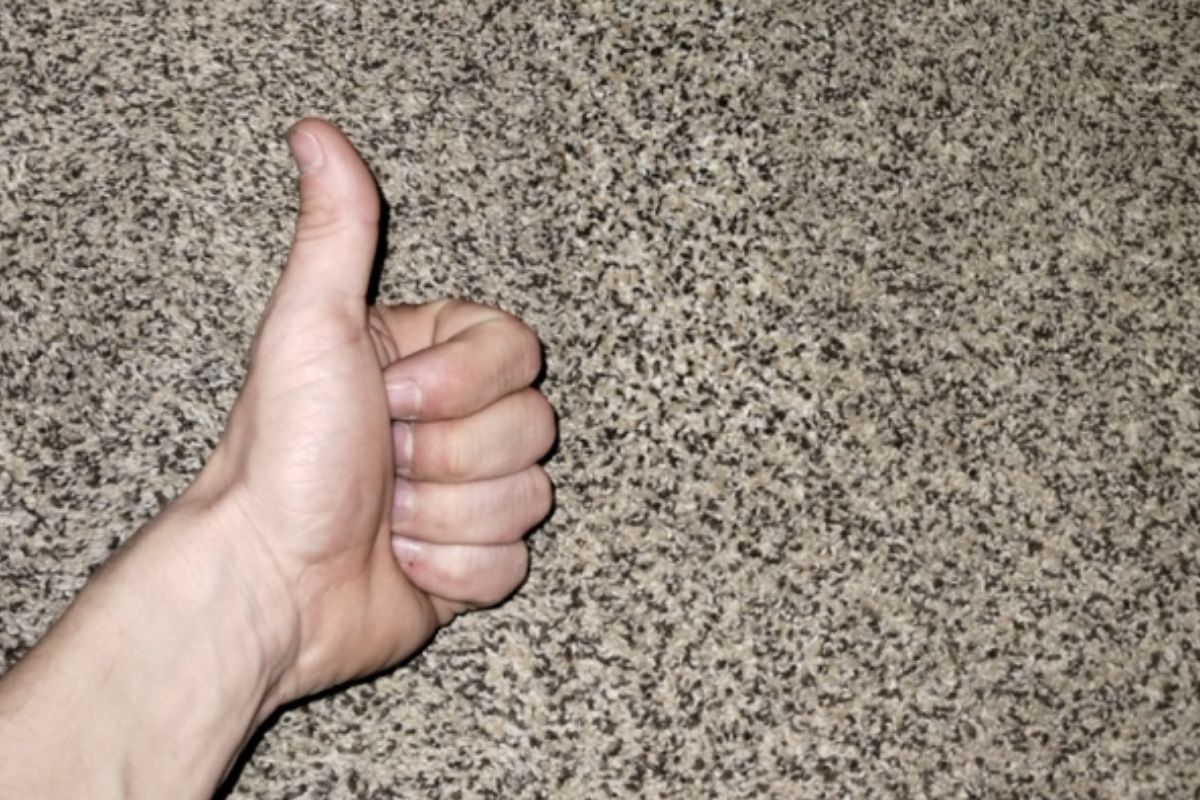 Pet carpet damage repair — after