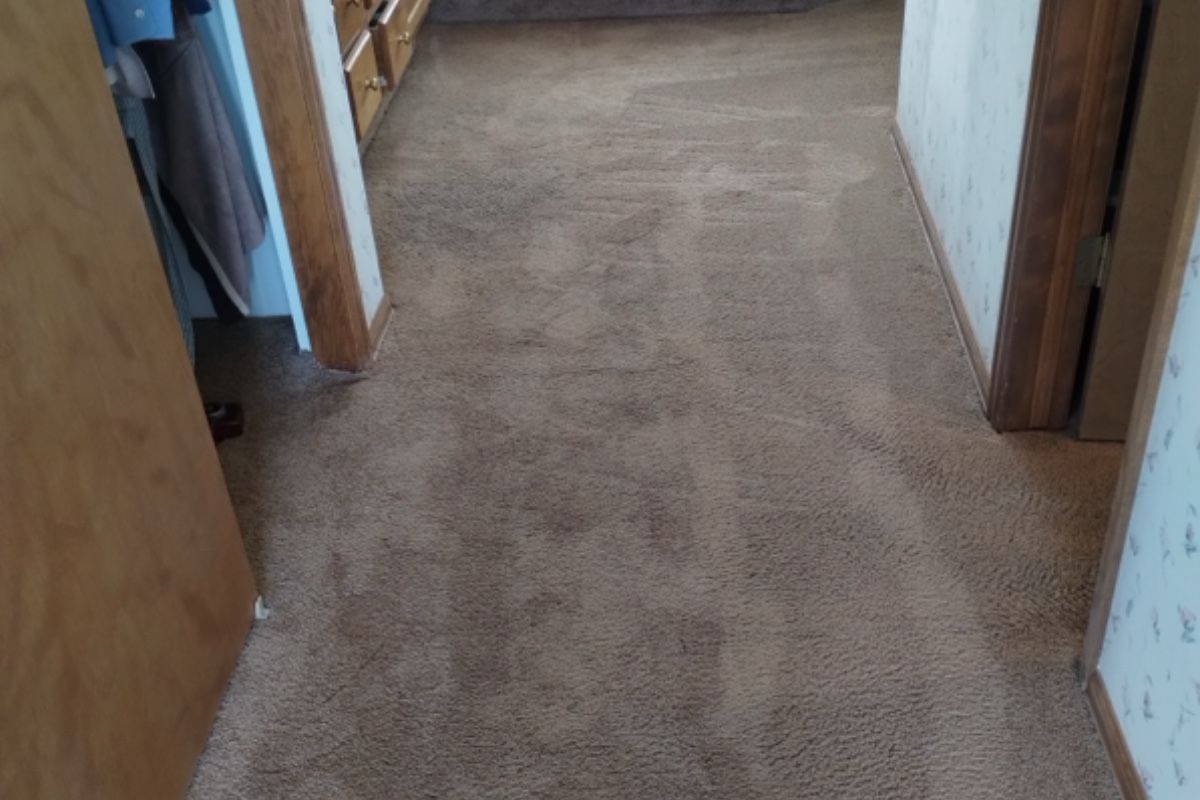 Pet carpet damage repair — after