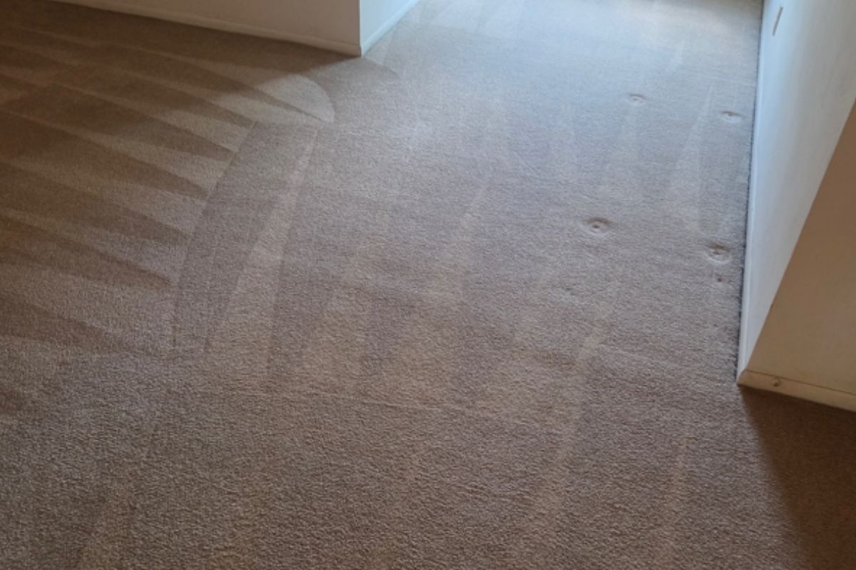 Pet carpet damage repair — after