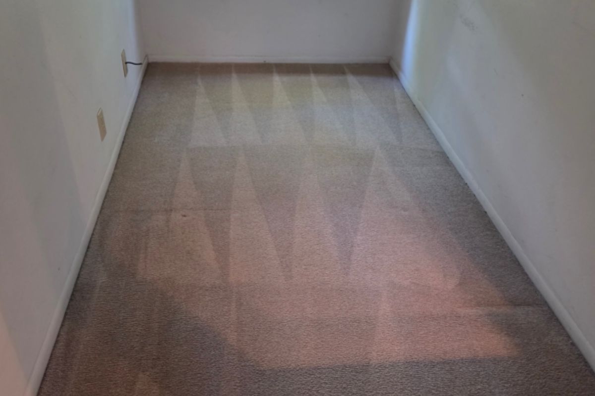 Pet carpet damage repair — after