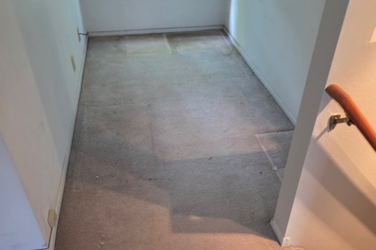 Pet carpet damage repair — before