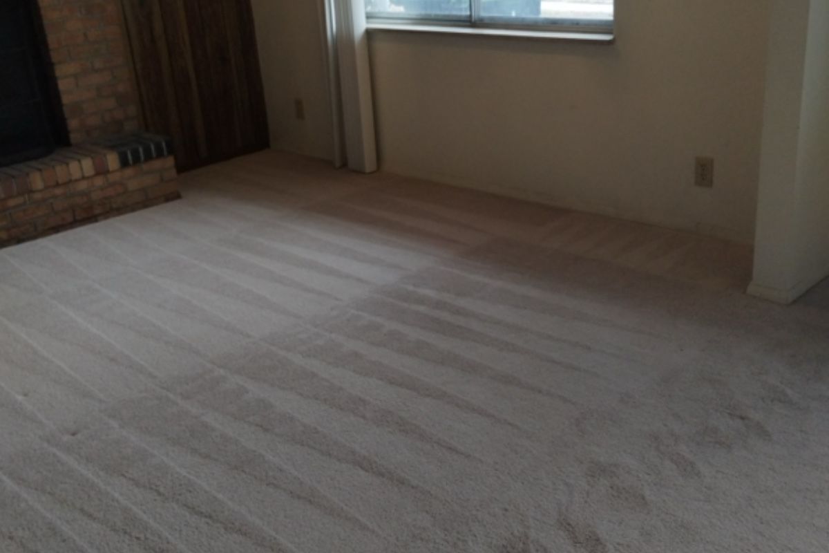 Pet carpet damage repair — after