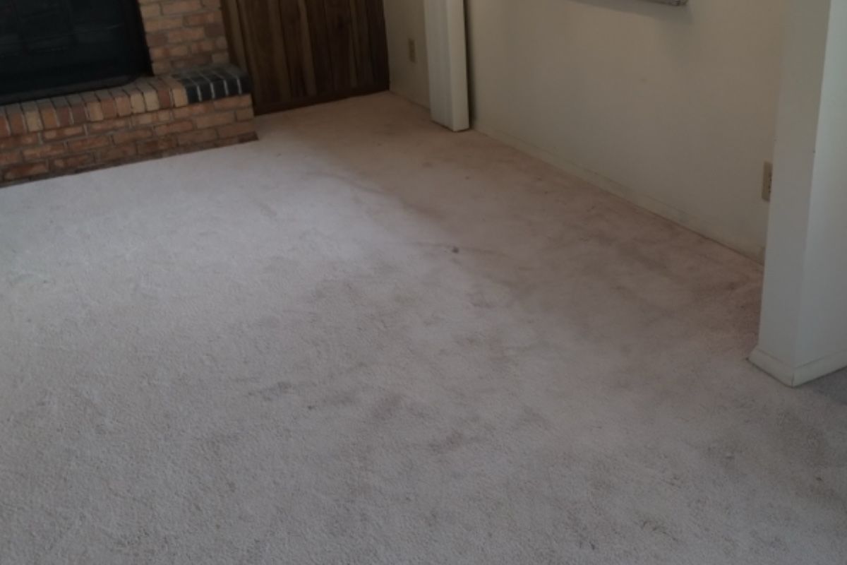 Pet carpet damage repair — before