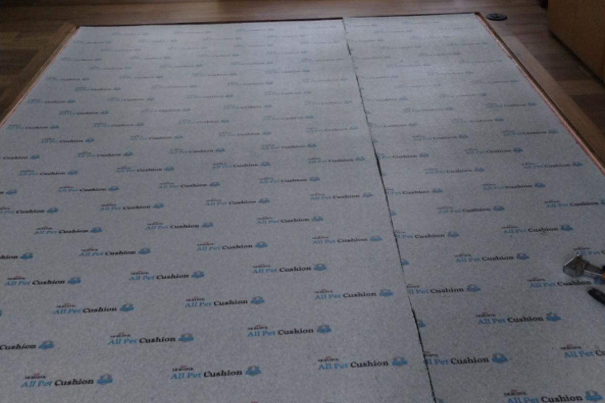 Pet carpet damage repair — before