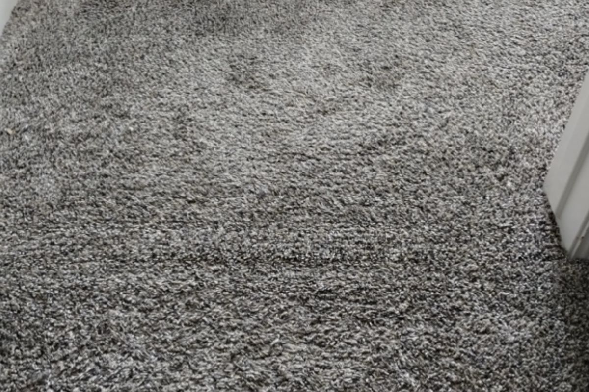 Carpet seam repair — after