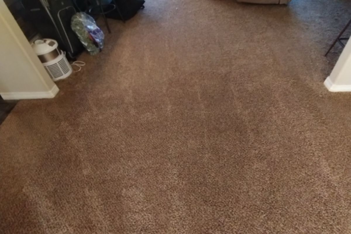 Pet carpet damage repair — after