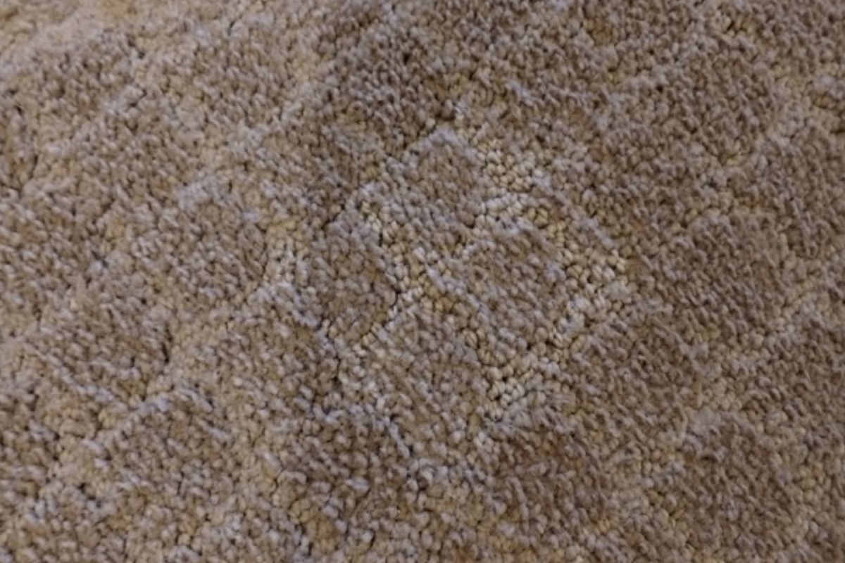 Pet carpet damage repair — after