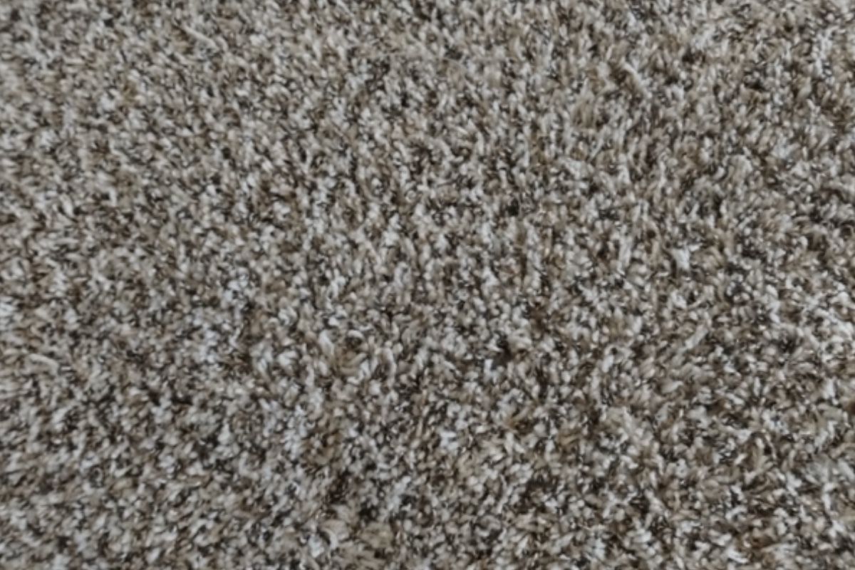 Pet carpet damage repair — after