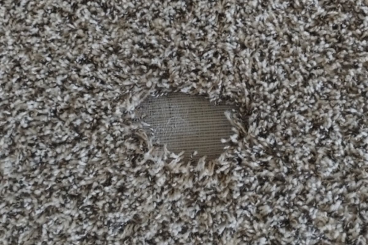 Pet carpet damage repair — before