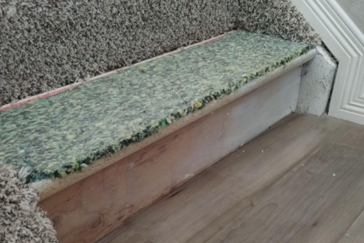 Pet carpet damage repair — before