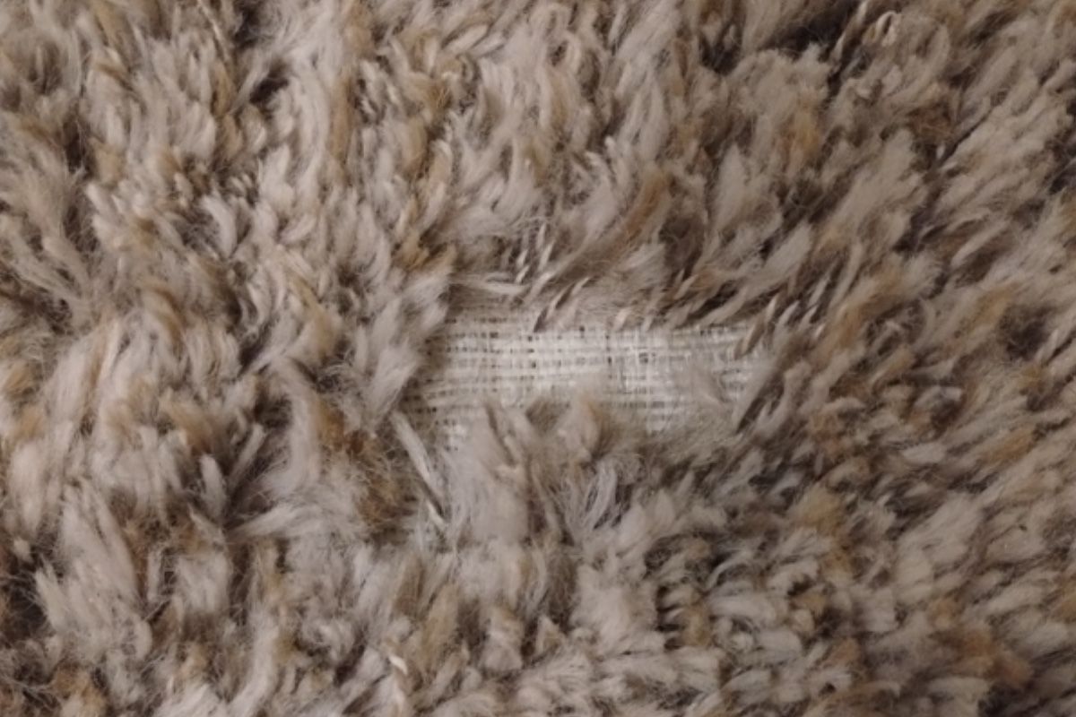 Pet carpet damage repair — before